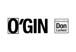 cropped_ogin_1_1x.webp